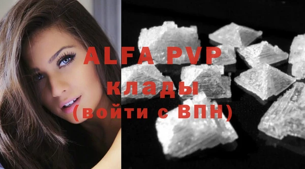 гашик Козловка