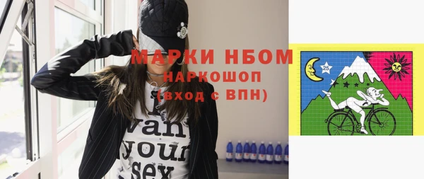 гашик Козловка