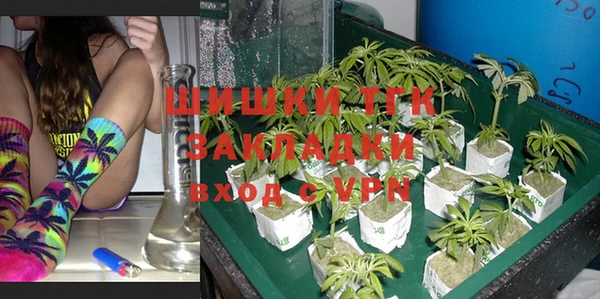 твердый Кодинск