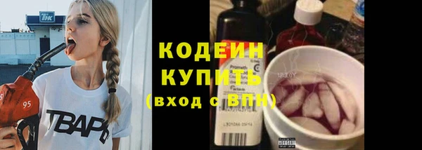 гашик Козловка