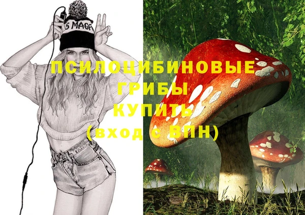 гашик Козловка