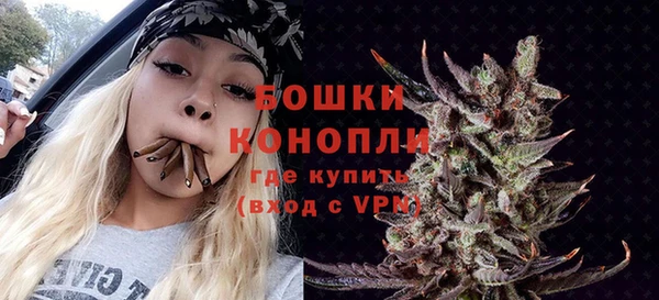 твердый Кодинск