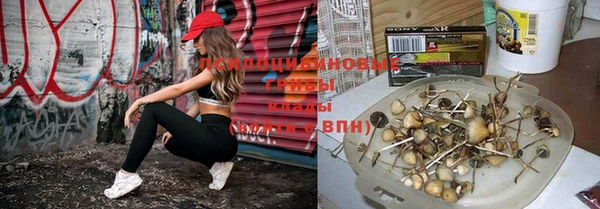 спиды Козельск