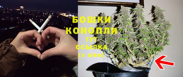 гашик Козловка