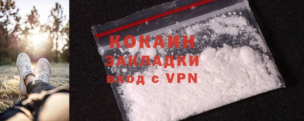 гашик Козловка