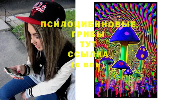 спиды Козельск