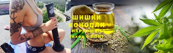 гашик Козловка