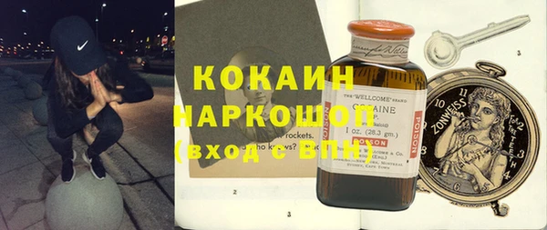 гашик Козловка